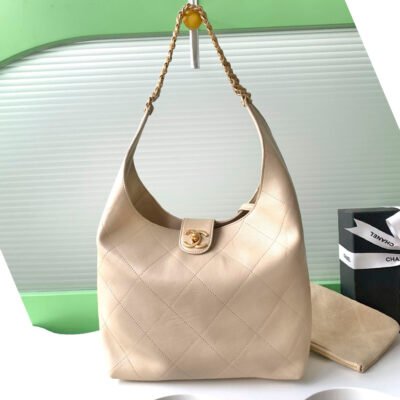 02 Chanel 25p hobo AS5425 (skin)