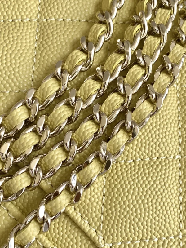 AP4385 52 Cielonia watches