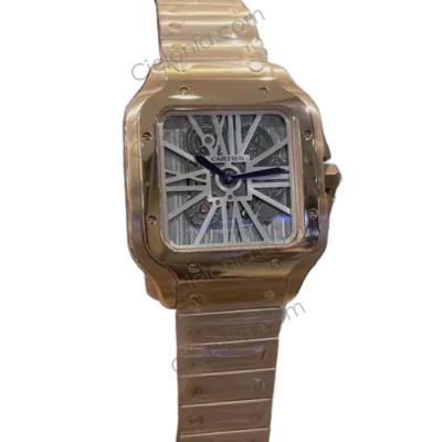 Santos De Cartier Skeleton WHSA0016 3A