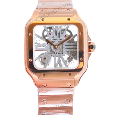 Santos De Cartier Skeleton WHSA0016 5A