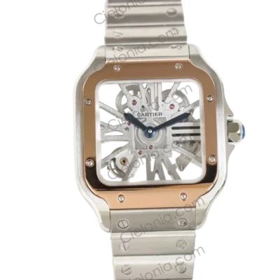 Santos De Cartier Skeleton WHSA0018 5A