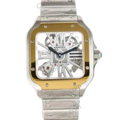 Santos De Cartier Skeleton WHSA0019 5A