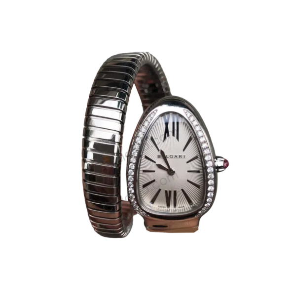 BV 101816 M Cielonia watches