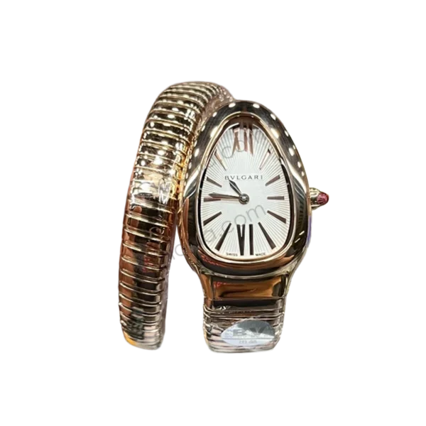 BV 101817 Cielonia watches