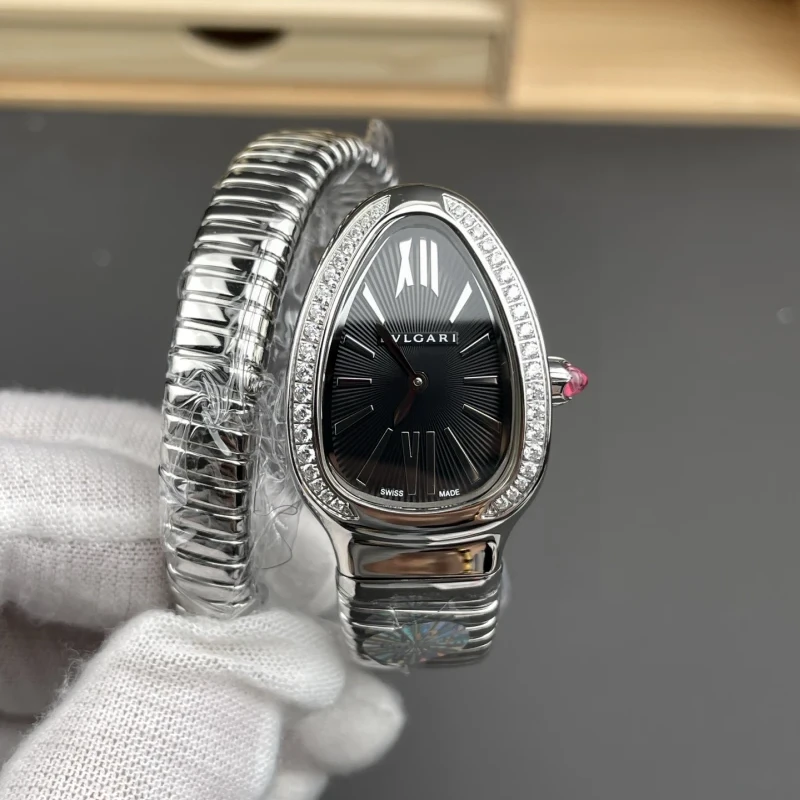 Bv 103254 a 05 cielonia watches