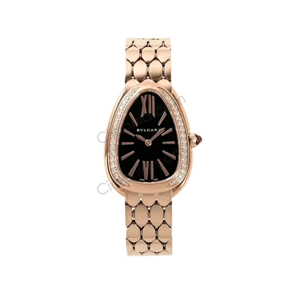 BV 103453 A 02 Cielonia watches