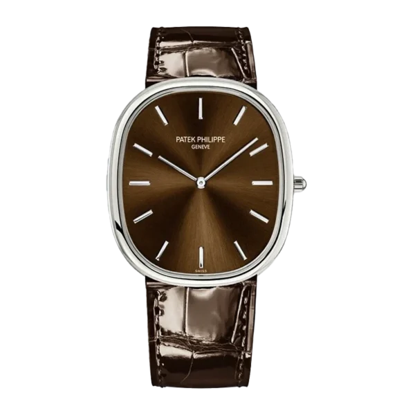 Pp 5738 100g 012 cielonia watches