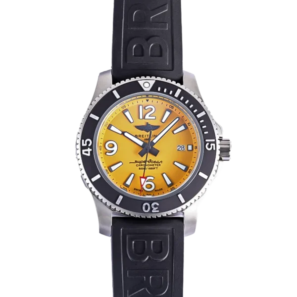 A17367021i1s1 cielonia watches