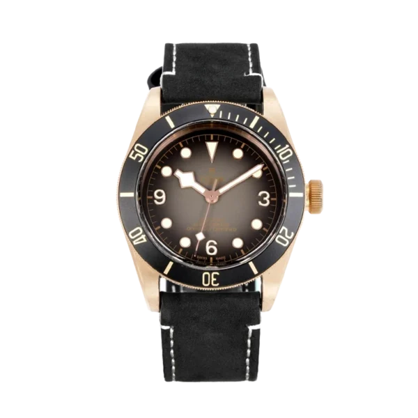 Tudor M79250 01 Cielonia watches